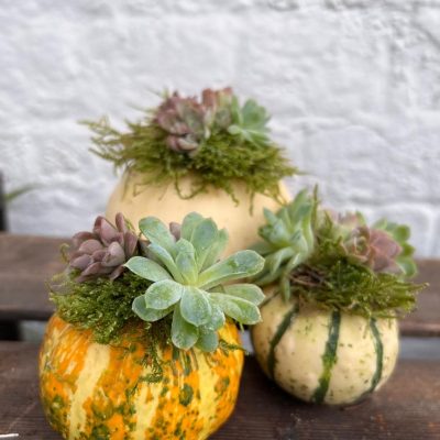 Autumn Decor Class