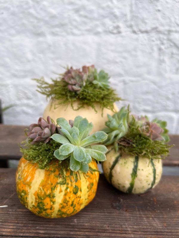 Autumn Decor Class